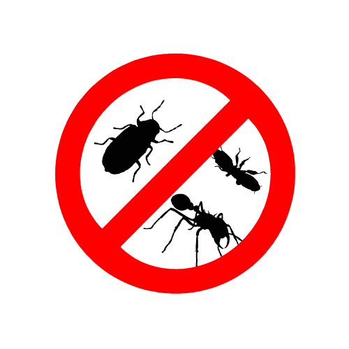 Pest Control