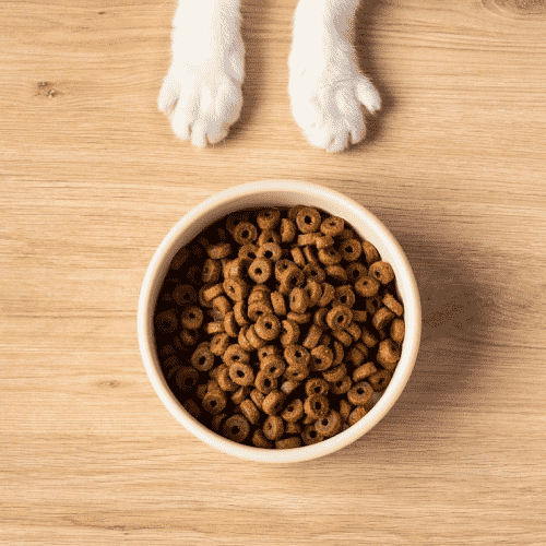 Pet Care
