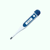 Digital Thermometer
