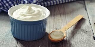 Yogurt & Fermented Products