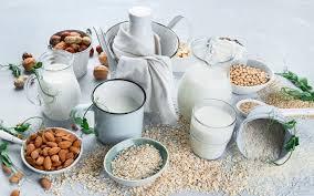 Plant-Based Dairy