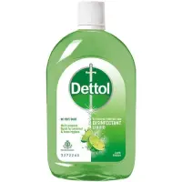 Dettol Liquid Disinfectant for Floor Cleaner, Surface Disinfection, Personal Hygiene (Lime Fresh), 250 ml