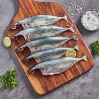 Fresh Mackerel Fish