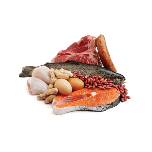 Fish & Meat